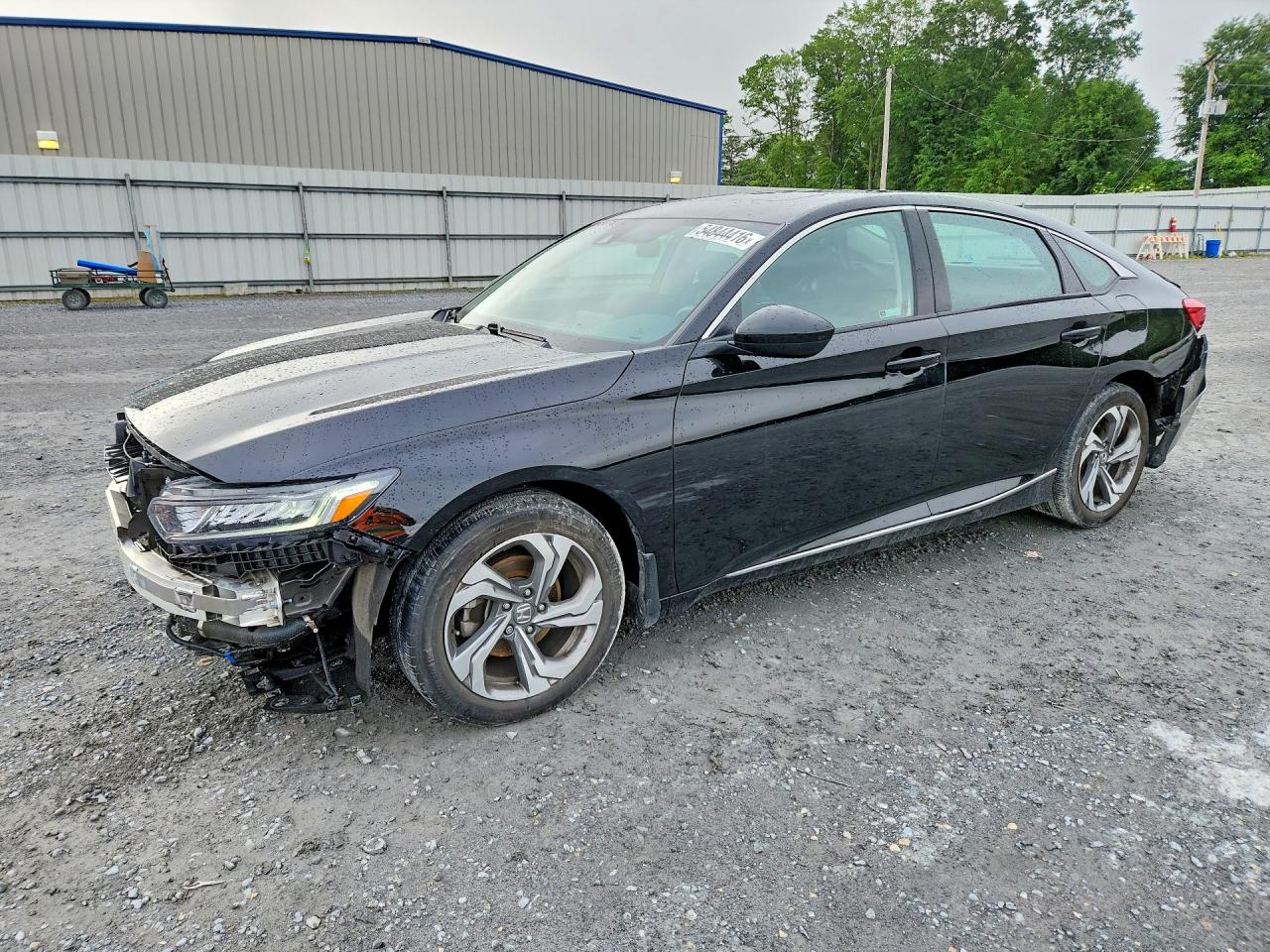 Salvage Honda Accord Image