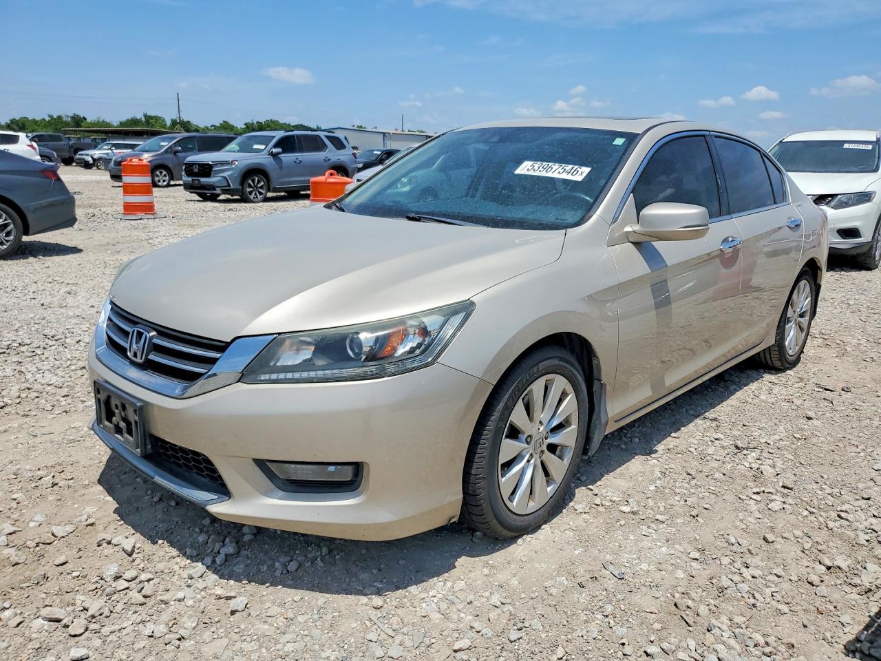 Salvage Honda Accord Image