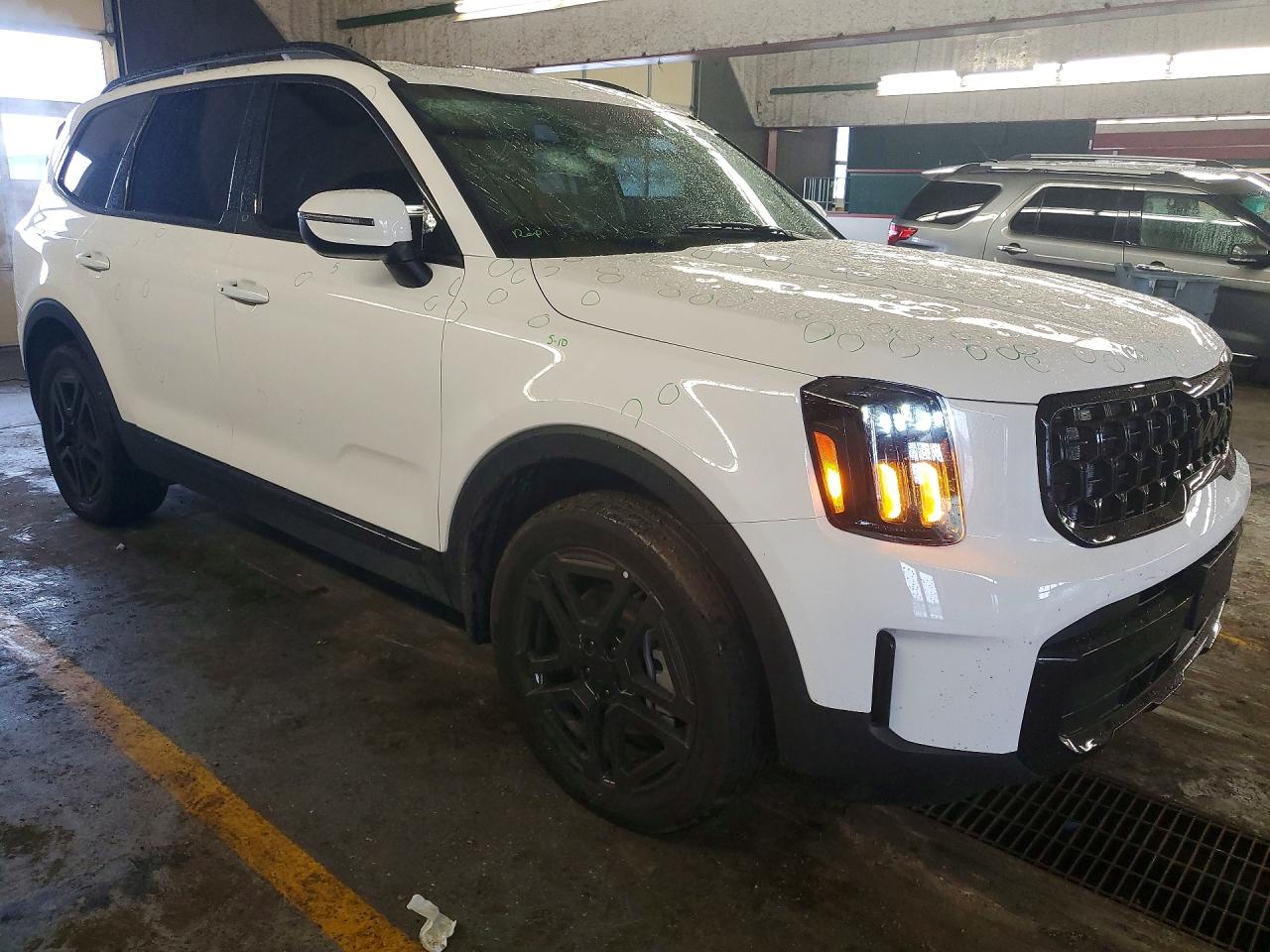 Kia Telluride Ex X-line
