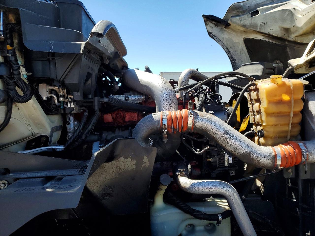 International Prostar