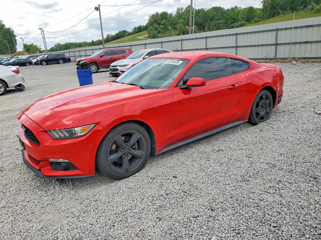 Salvage Ford Mustang Image