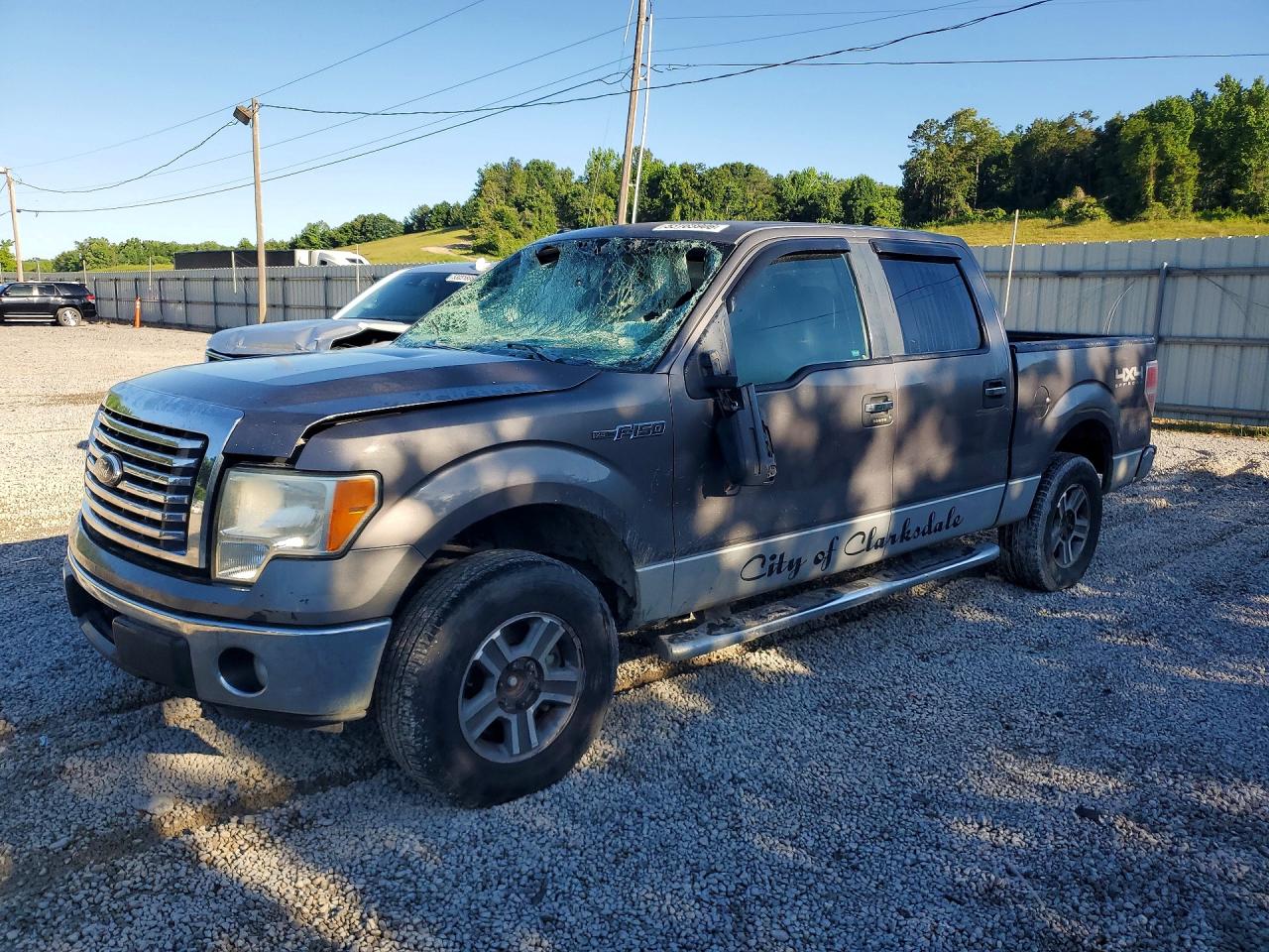Salvage Ford F-150 Image