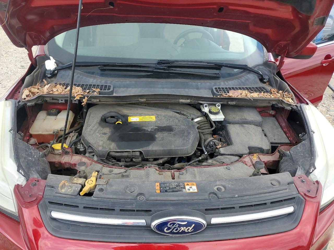 Ford Escape Se