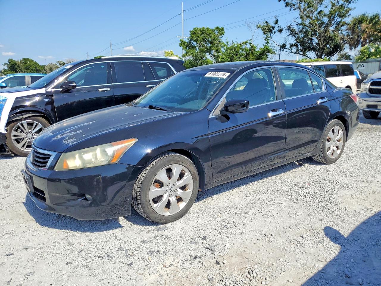 Salvage Honda Accord Image