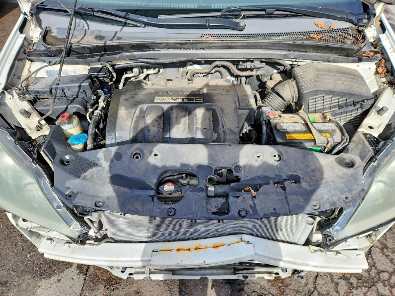 Honda Odyssey Ex