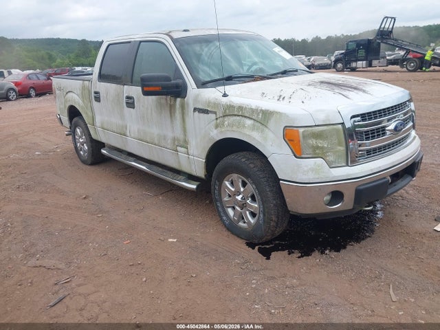 Salvage Ford F-150 Image