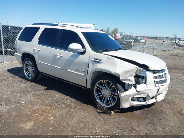 Salvage Cadillac Escalade Image