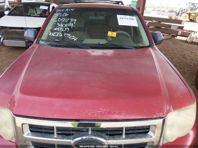 Ford Escape Xlt
