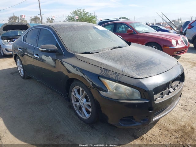 Salvage Nissan Maxima Image