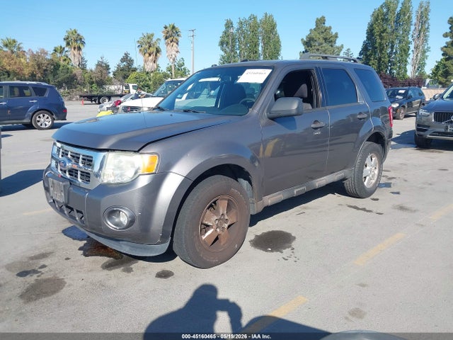 Ford Escape Xlt