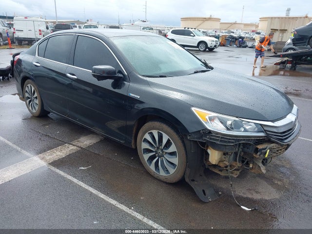 Salvage Honda Accord Image
