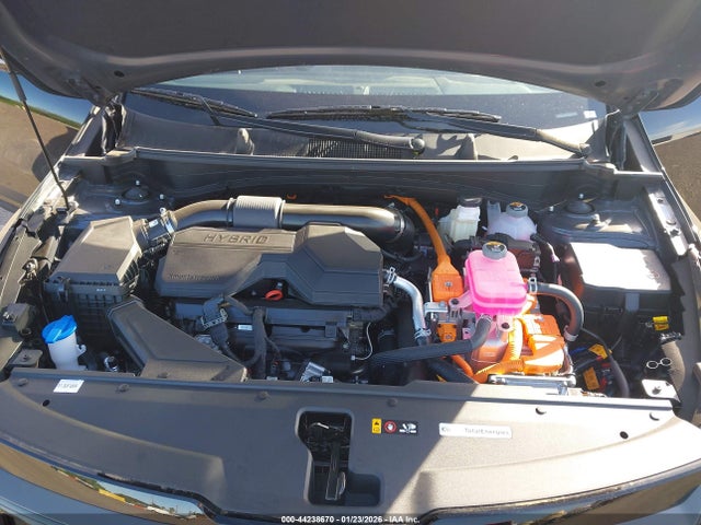 Kia Sportage X-line