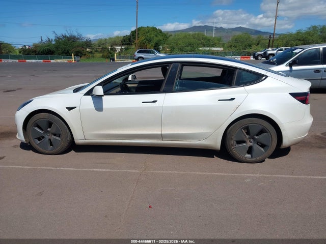 Tesla Model 3 Rear-wheel Drive