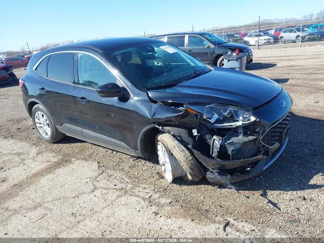 Salvage Ford Escape Image