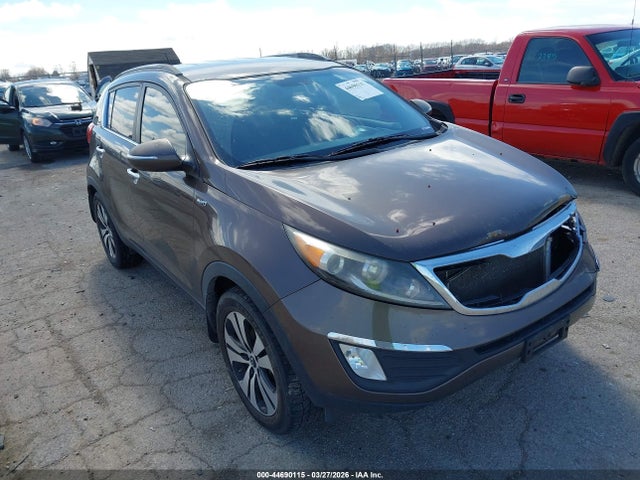 Salvage Kia Sportage Image