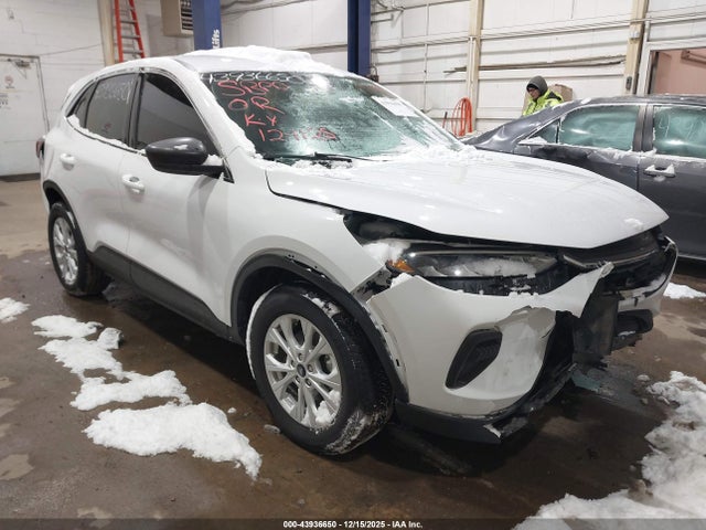 Salvage Ford Escape Image