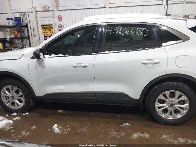 Ford Escape Active