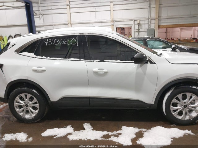 Ford Escape Active
