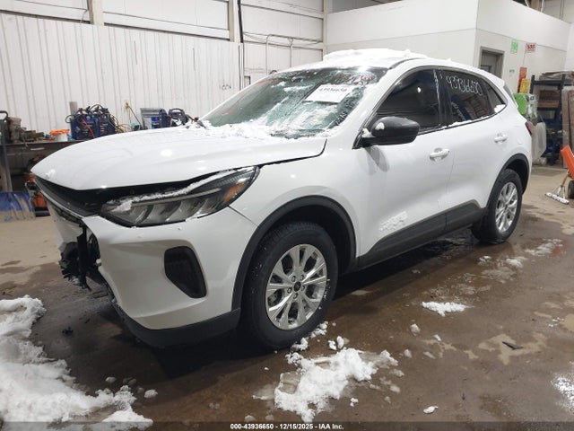 Ford Escape Active