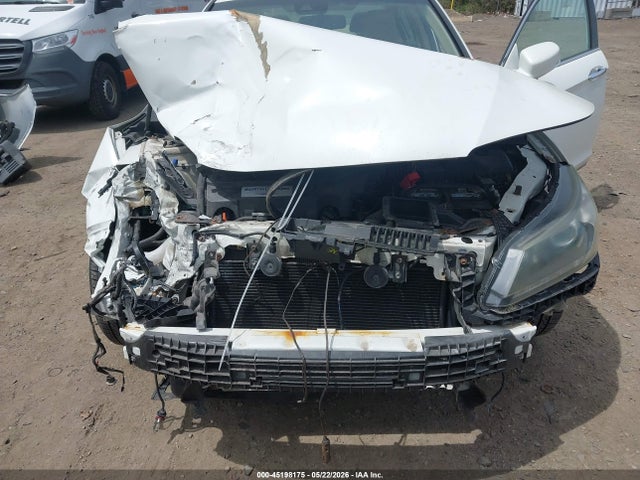Honda Accord Ex-l V-6