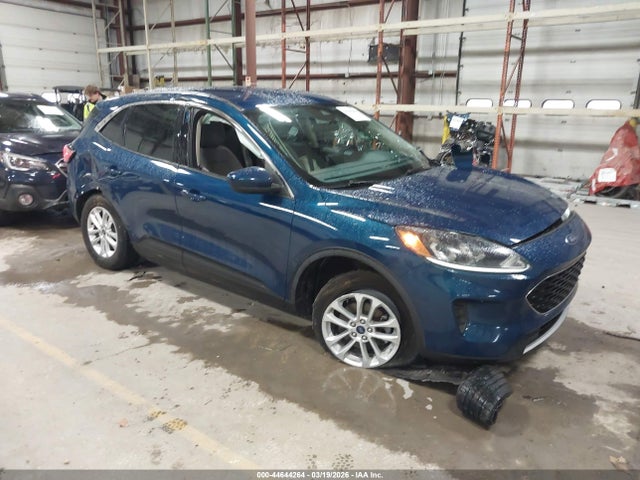 Salvage Ford Escape Image