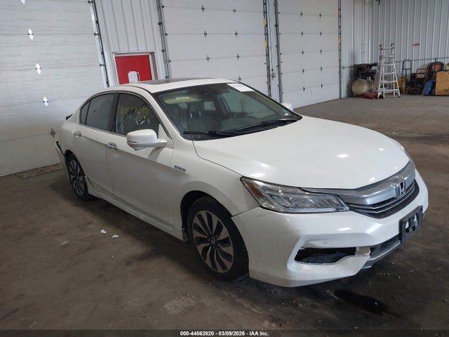 Salvage Honda Accord Image