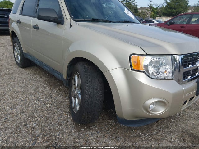 Ford Escape Xlt
