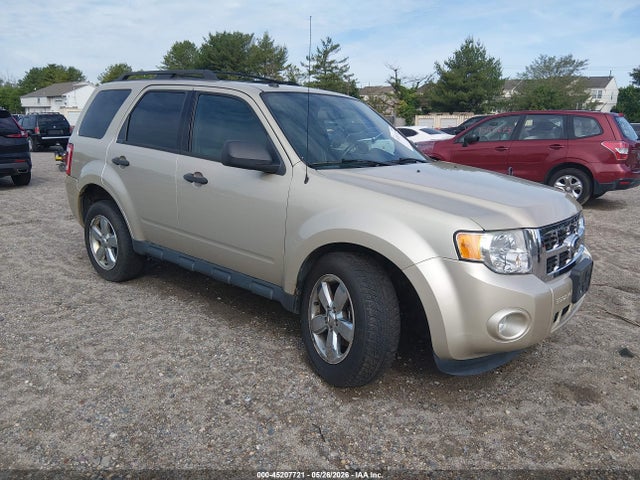 Salvage Ford Escape Image