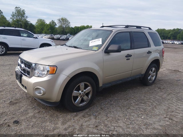 Ford Escape Xlt