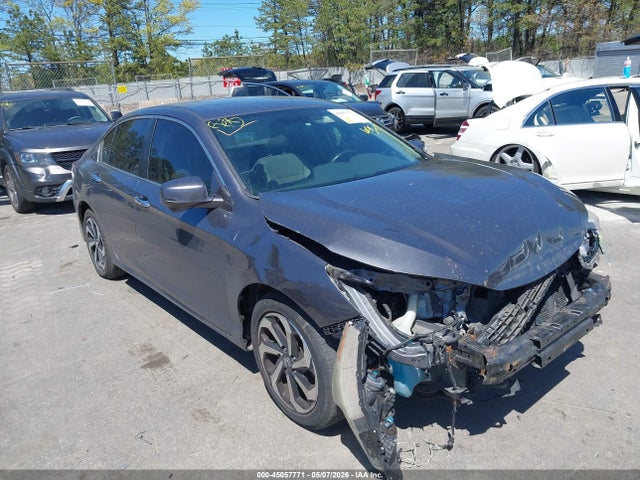 Salvage Honda Accord Image