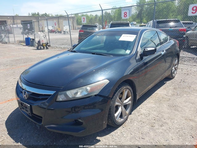 Honda Accord 3.5 Ex-l