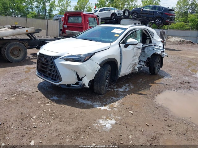 Lexus NX Premium