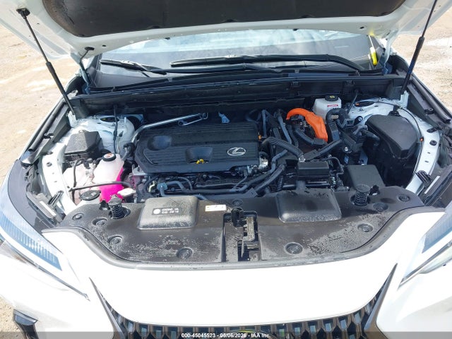 Lexus NX Premium