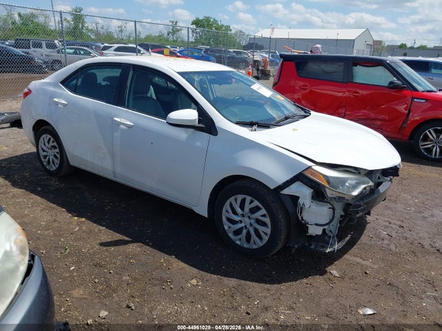 Salvage Toyota Corolla Image