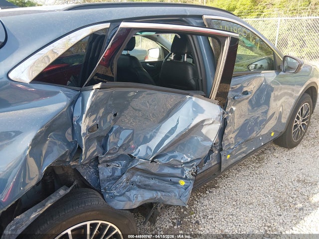 Ford Escape Phev