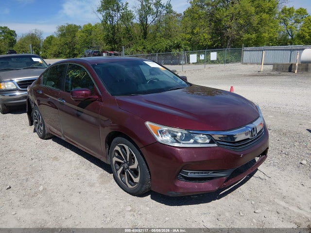 Salvage Honda Accord Image