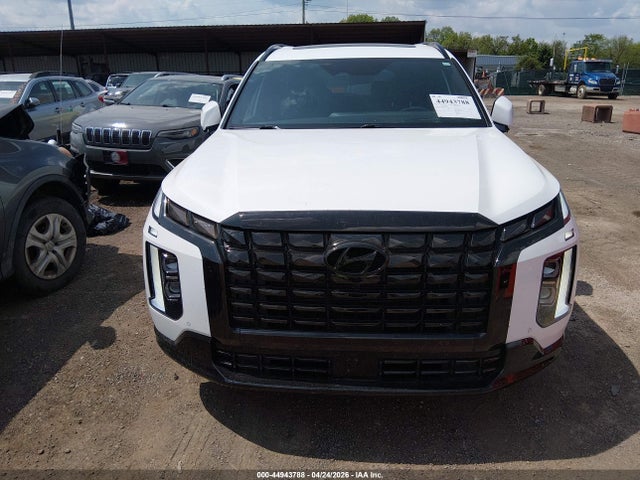 Hyundai PALISADE Calligraphy Night Edition