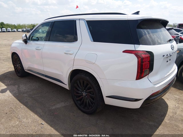 Hyundai PALISADE Calligraphy Night Edition