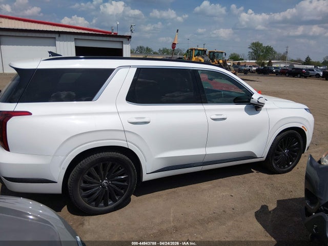Hyundai PALISADE Calligraphy Night Edition