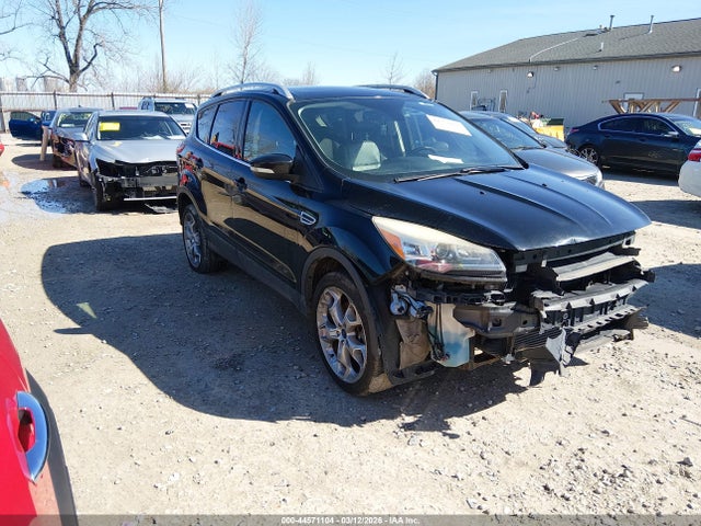 Salvage Ford Escape Image