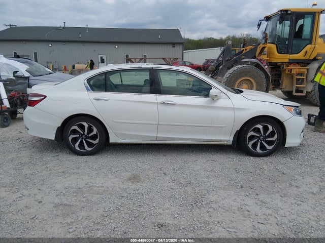 Honda Accord Ex-l V-6