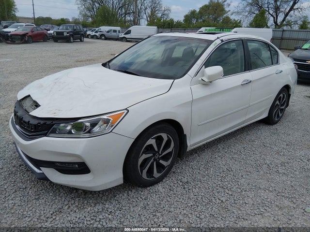 Honda Accord Ex-l V-6