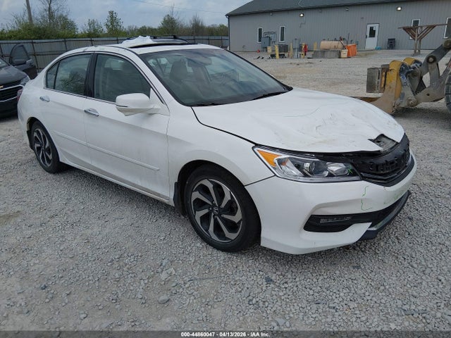 Salvage Honda Accord Image