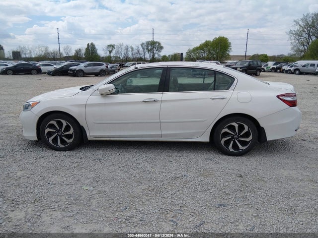 Honda Accord Ex-l V-6