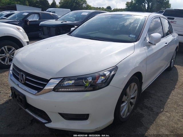 Honda Accord Ex-l
