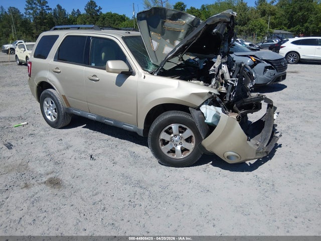 Salvage Ford Escape Image