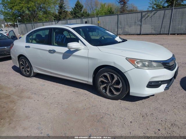 Salvage Honda Accord Image
