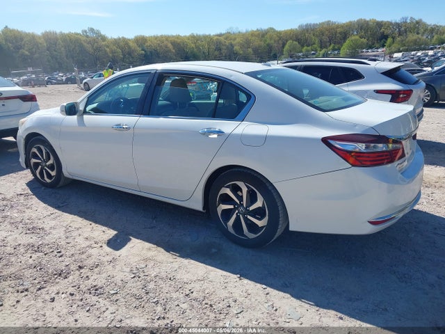 Honda Accord Ex-l
