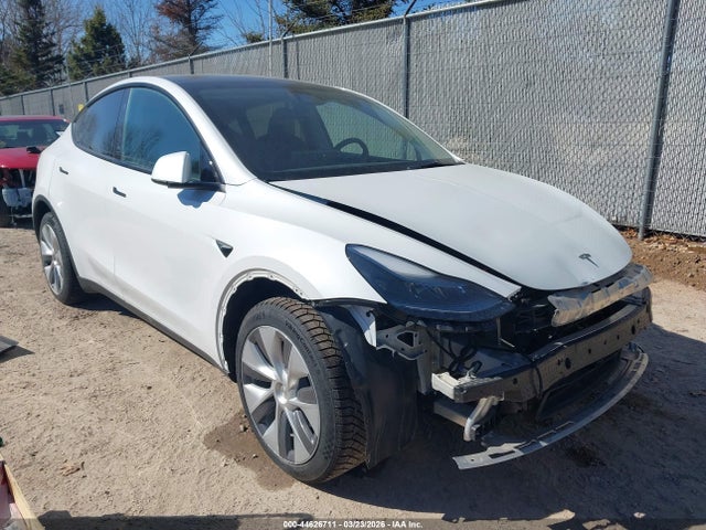 Salvage Tesla Model Y Image