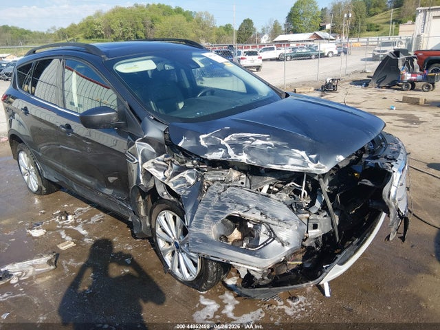 Salvage Ford Escape Image